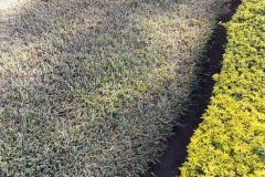 WhatsApp-Image-2019-09-05-at-14.35.36